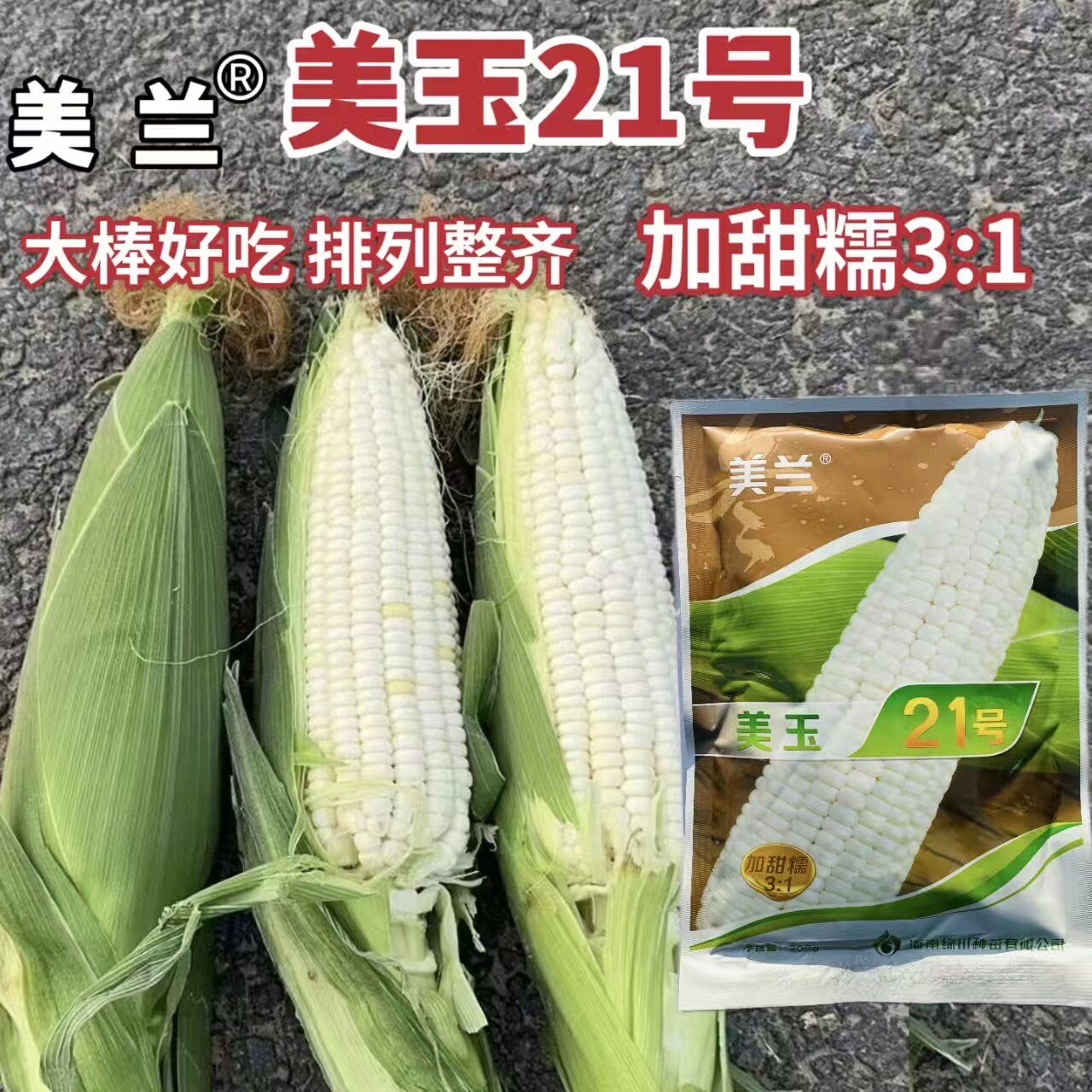 美玉21号白甜糯玉米种子高产大棒鲜食甜加糯香甜白玉米种籽孑