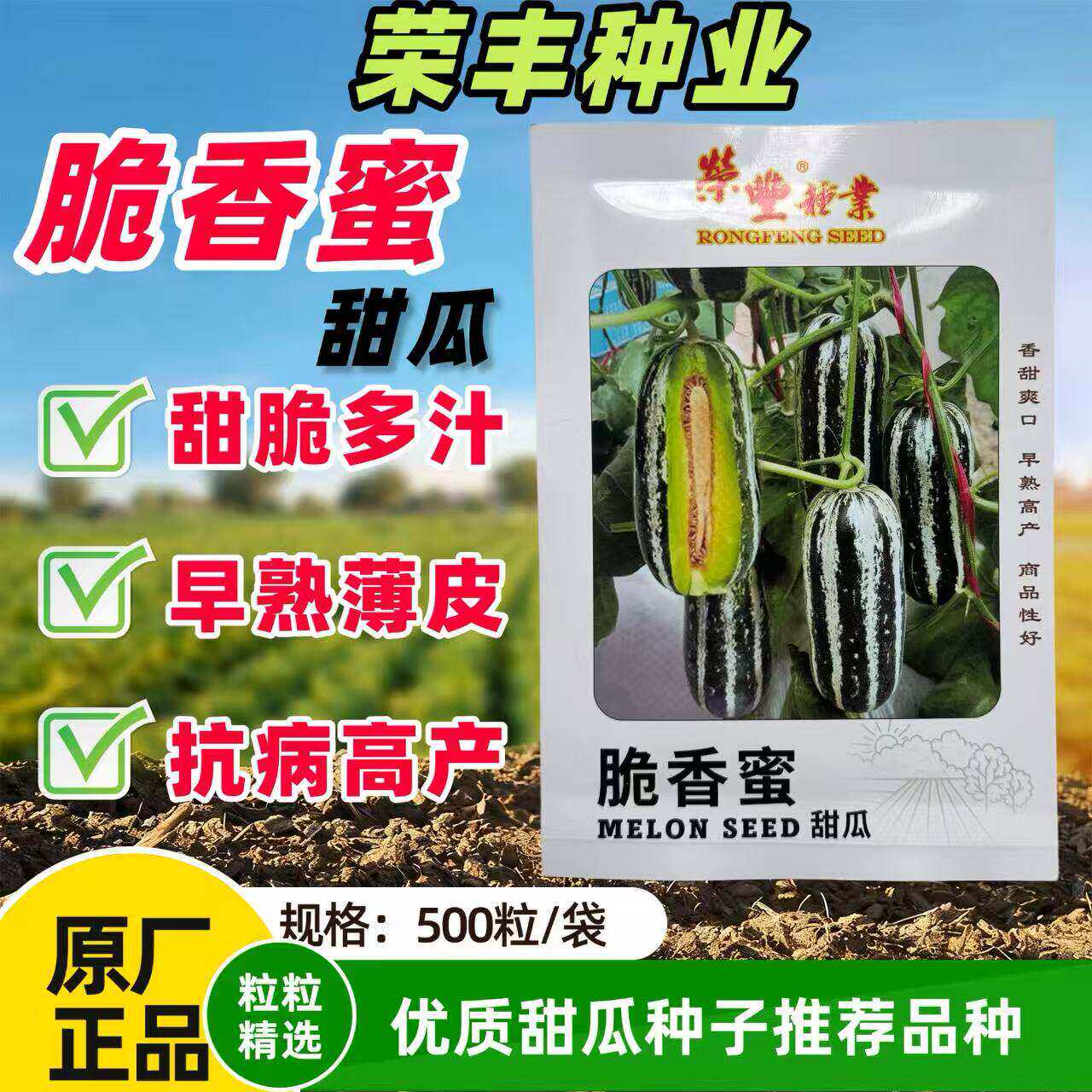 脆香蜜薄皮杂交甜瓜种子厚肉黄绿色桔红腔果肉酥脆香甜芝麻蜜种子