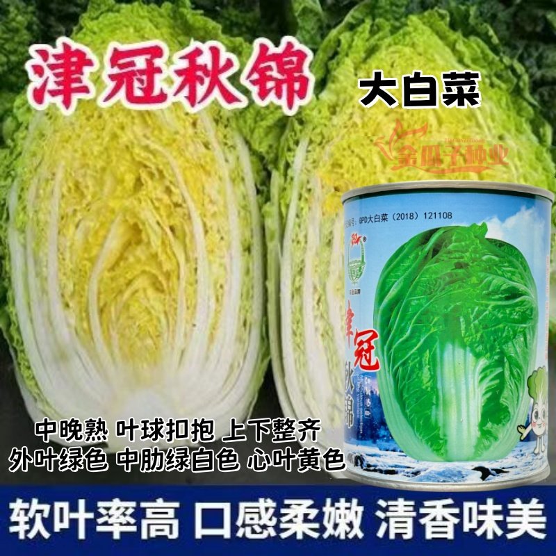 津冠秋锦大白菜种子秋播白菜黄心白菜种籽高产耐贮运蔬菜抗病耐寒,鲜花速递/花卉仿真/绿植园艺,家庭园艺种子,淘宝优惠券,粉丝福利购,淘宝优惠卷
