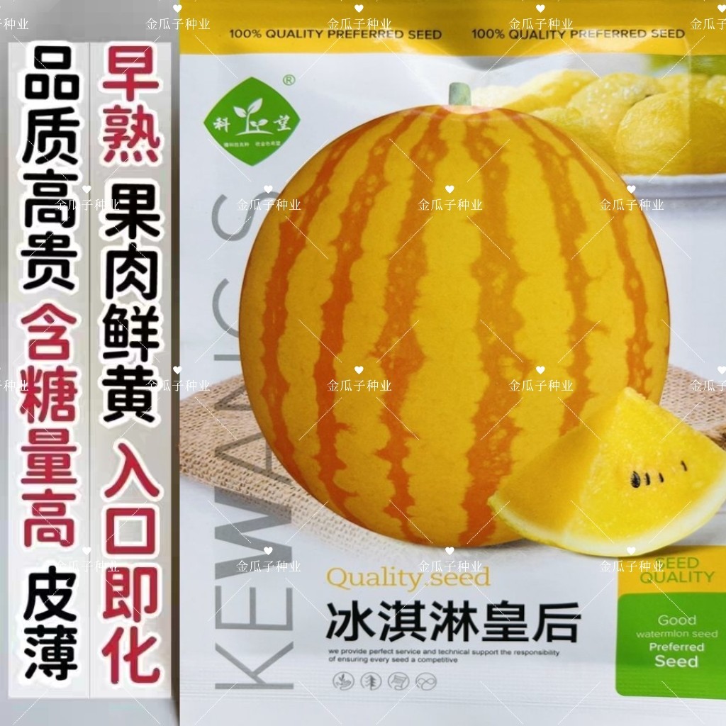 冰淇淋皇后黄皮黄瓤西瓜种子高端礼品黄皮黄肉西瓜种西瓜蔬菜种籽