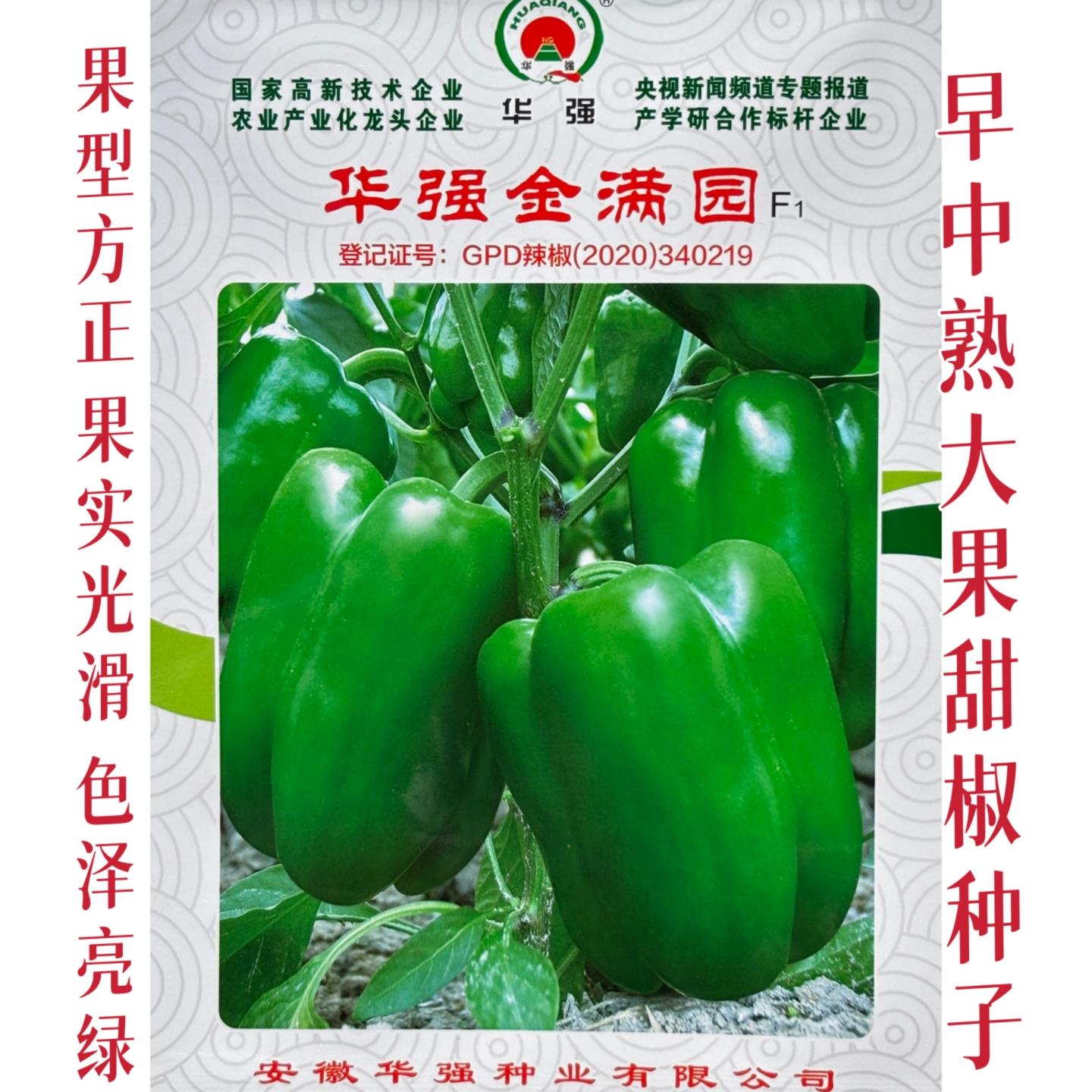 金满园大果甜椒种子春秋播高产抗病方正型菜椒辣椒种籽蔬菜孑