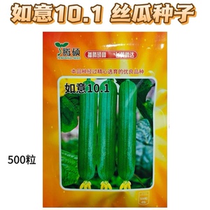 如意101丝瓜种子油皮瓜短棒型香味浓耐低温弱光早市品种商品性好