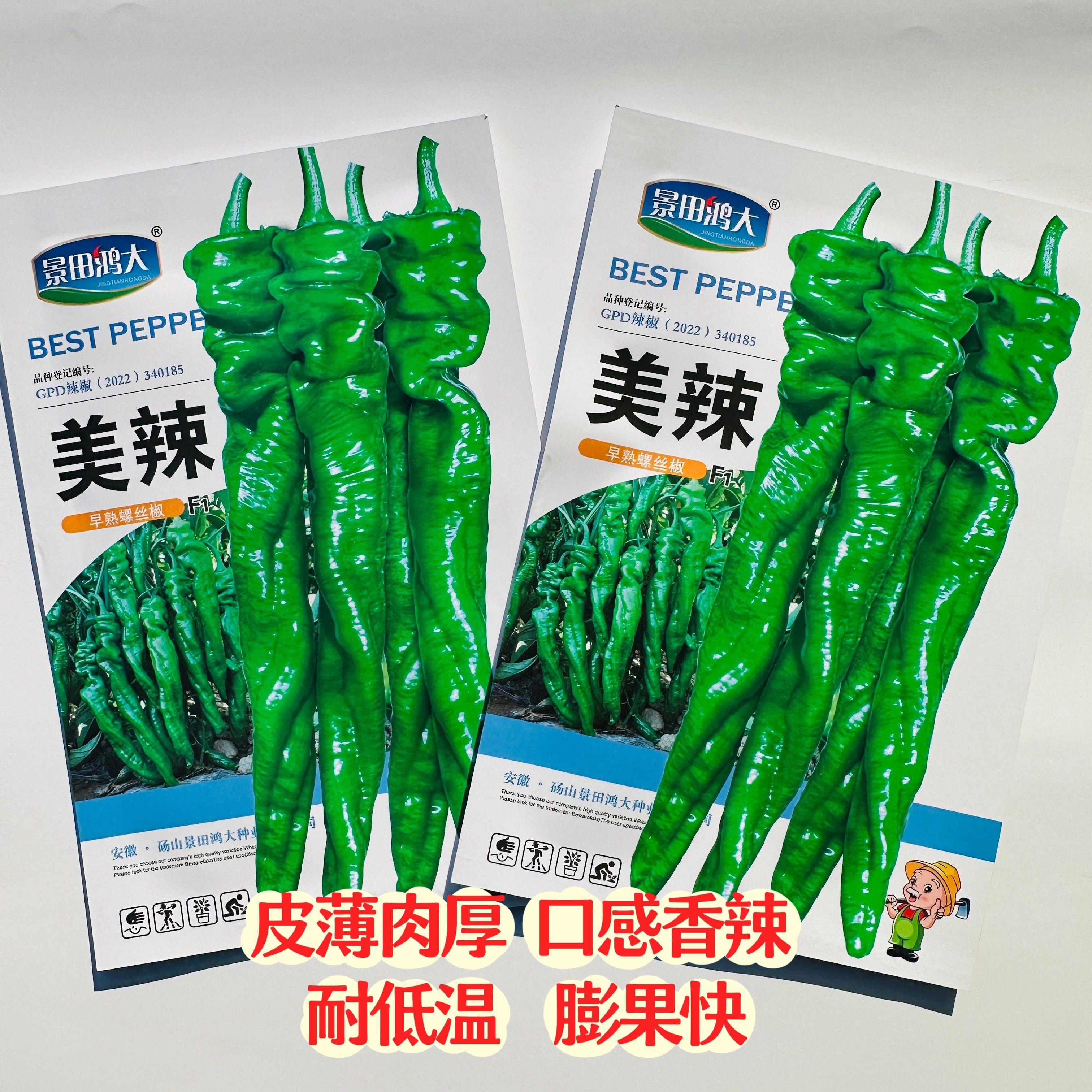 美辣早熟香辣螺丝椒种籽