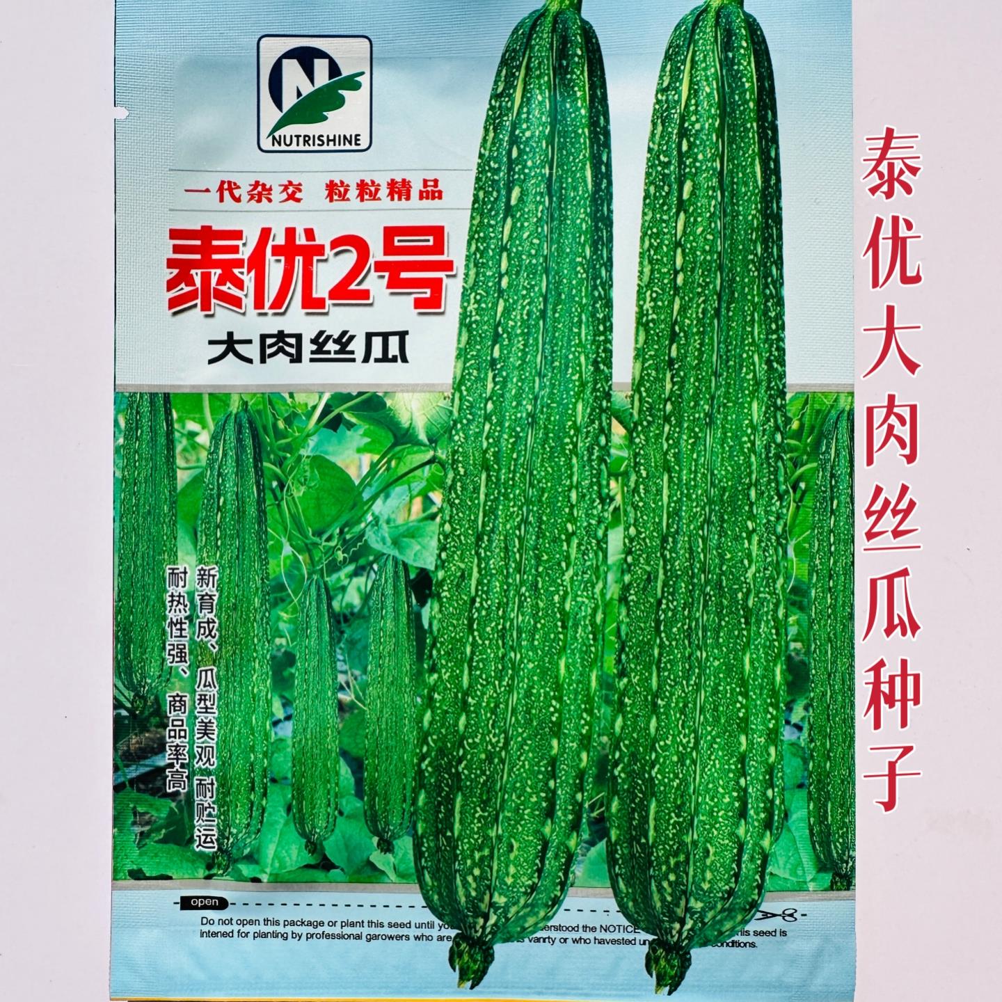 泰优2号大肉丝瓜种子肉厚中熟抗病丰产耐热肉嫩花点丝瓜种籽春播