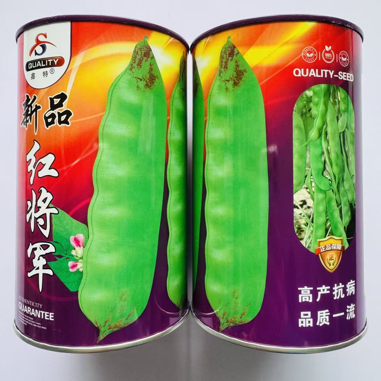 新品红将军油豆种子高产东北豆角宽芸豆种籽不鼓豆抗寒抗病豆角孑