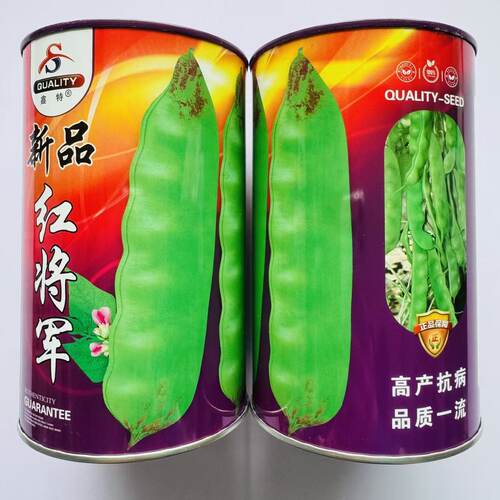 新品红将军油豆种子高产东北豆角宽芸豆种籽不鼓豆抗寒抗病豆角孑