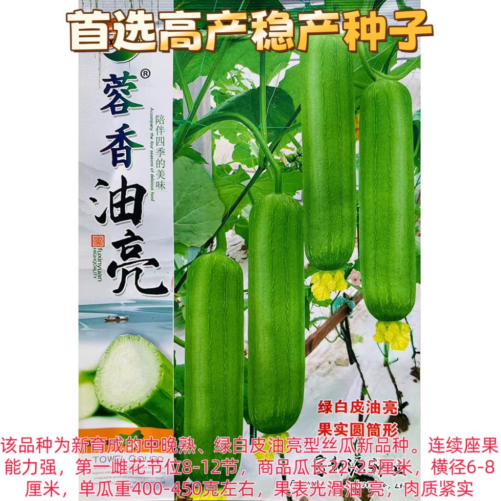 蓉香油亮种子高产抗病四