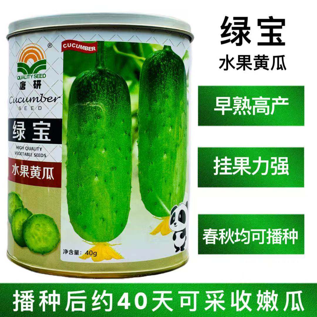 绿宝黄瓜种子水果黄瓜早熟高产春播秋播皮薄瓜条绿色抗病抗高温