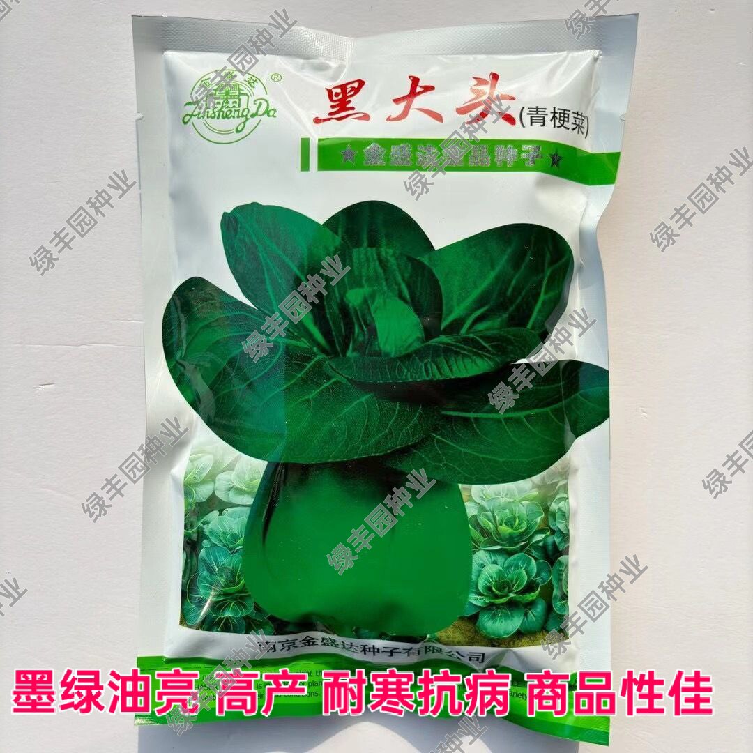 金盛达黑大头青梗菜种子 黑叶矮脚油亮苏州青种籽高产青菜种子