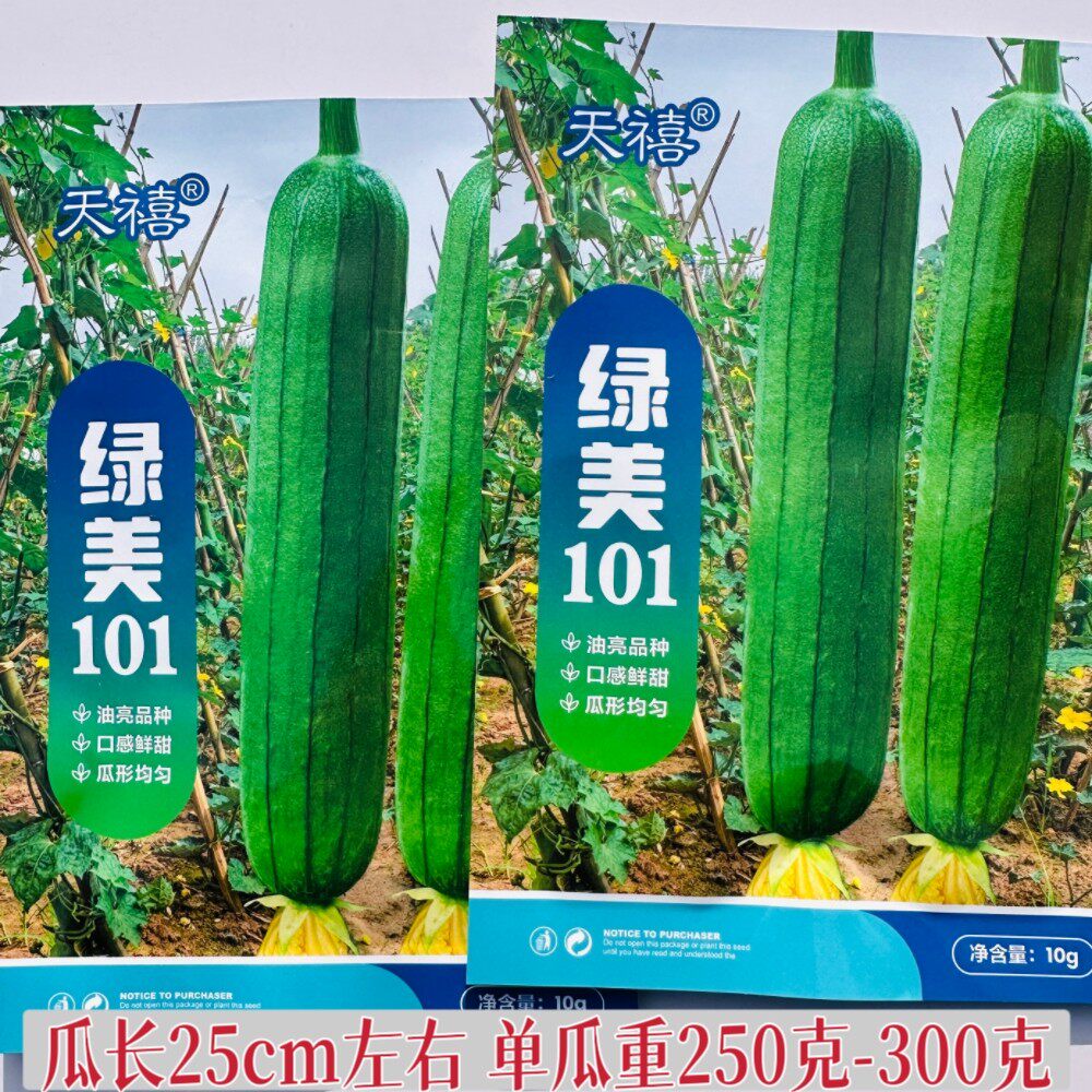 绿美101丝瓜种子农家春播耐热油亮短棒丝瓜种籽肉厚丝瓜蔬菜种子
