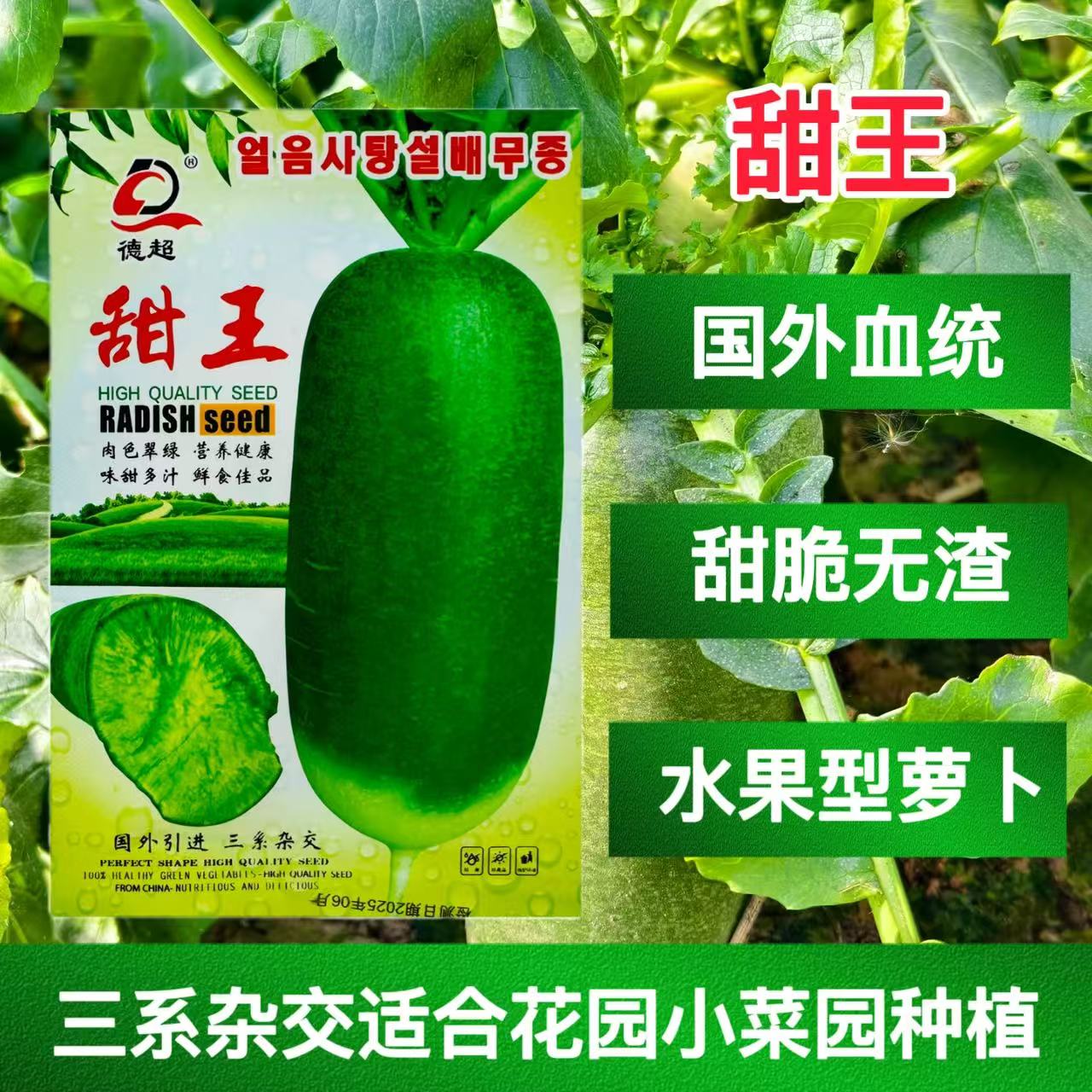 国外引进甜王三系杂交水