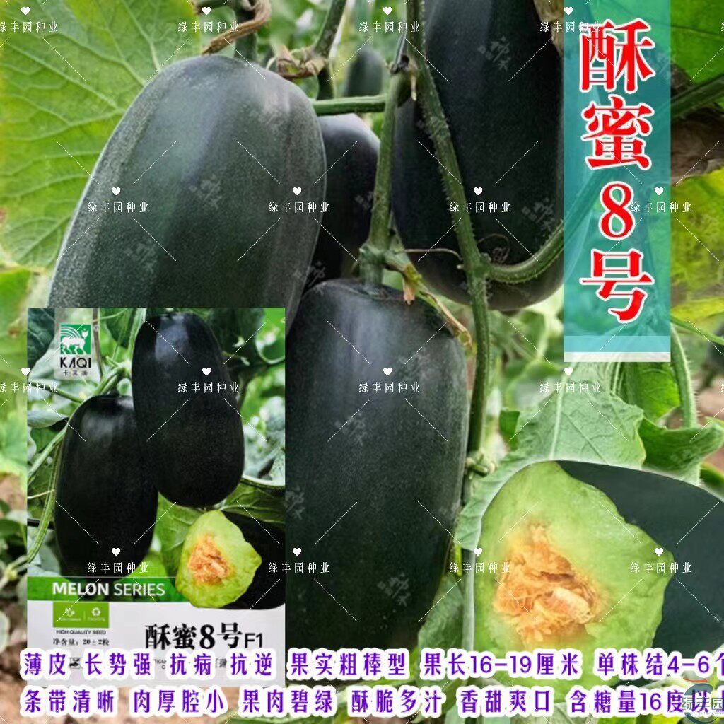 酥蜜8号甜瓜种子博洋甜瓜绿皮绿肉酥香瓜种籽春季蔬菜种孑羊角