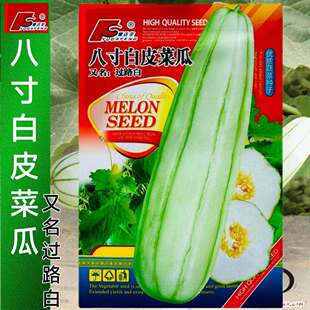 八寸白皮菜瓜种子脆瓜梢瓜种籽甜脆味清香生食凉拌腌蔬菜水果种子