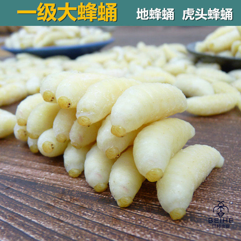 新鲜地龙蜂蛹虎头蜂仔胡蜂马蜂幼崽土地蜂儿深山新鲜蚂蜂虫500g