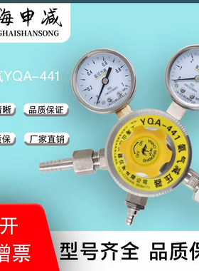 山松上减氨气减压器YQA-441不锈钢氨气减压器减压力表氨气减压阀