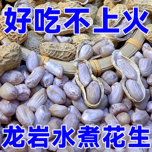2025新货水煮花生晒干原味正宗福建龙岩日白晒咸干花生官方旗舰店
