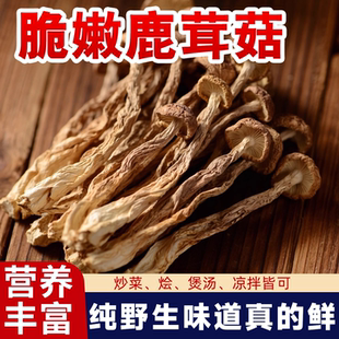 特级鹿茸菇干货鹿茸菌野生菇新鲜农家特产香菇蘑菇煲汤官方旗舰店