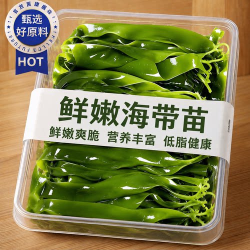 新鲜霞浦海带苗火锅专用一级食材