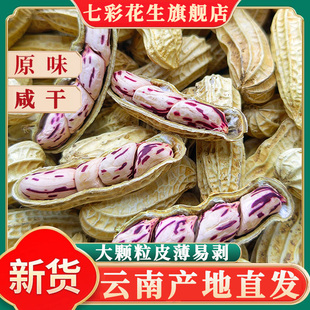 云南七彩花生旗舰店云南特产咸干带壳新货香甜原味新鲜熟水果花生