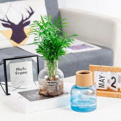 Water Absorbing Plant Pots Delicate Modern Home Self