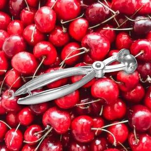 Metal Cherry Olive Pitter Remover Kitchen Gadgets Vegetable