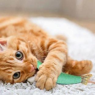 Indoor Catnip Biting Teething Toy Plush Toys Fish Cat Saury