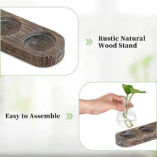 Propagation Station Glass Vases Decoration: 5 Plants