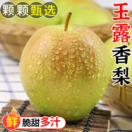 正宗特级玉露香梨薄皮脆甜现摘大果新鲜应季酥梨孕妇时令水果包邮