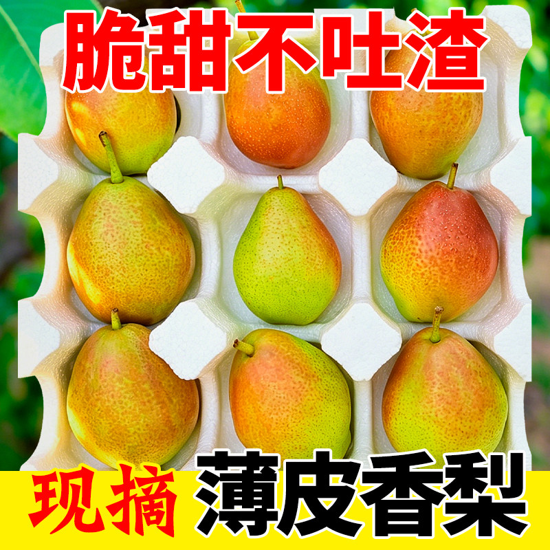 红香酥梨10斤新鲜水果当季青皮正宗雪梨脆甜多汁应季梨子整箱包邮