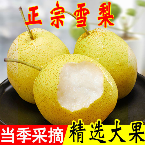 河北特级雪梨水果新鲜整箱包邮