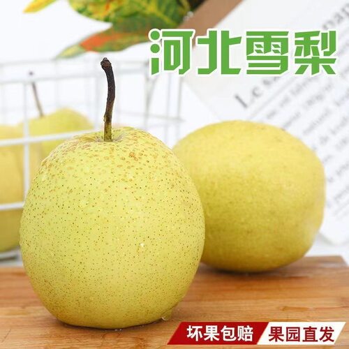 特级雪梨水果新鲜正宗整箱包邮