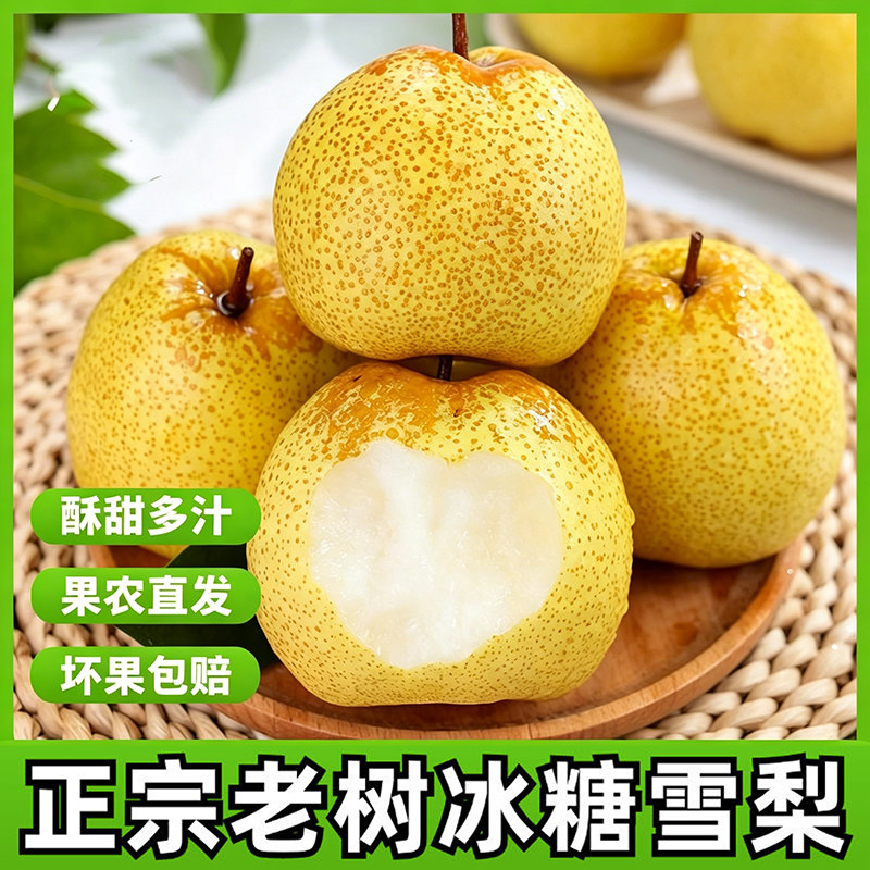 河北雪梨水果新鲜现摘正宗雪花梨河北赵县整箱梨子大果当季包邮