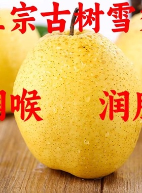 新鲜冰糖雪梨10斤应当季水果正宗黄冠梨脆甜砀山酥梨孕妇整箱包邮