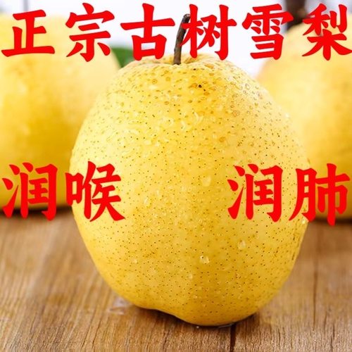新鲜冰糖雪梨10斤应当季水果正宗黄冠梨脆甜砀山酥梨孕妇整箱包邮