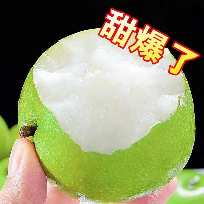 现摘正宗酥脆皇冠青皮梨大果脆甜梨新鲜水果薄皮应季水果整箱包邮