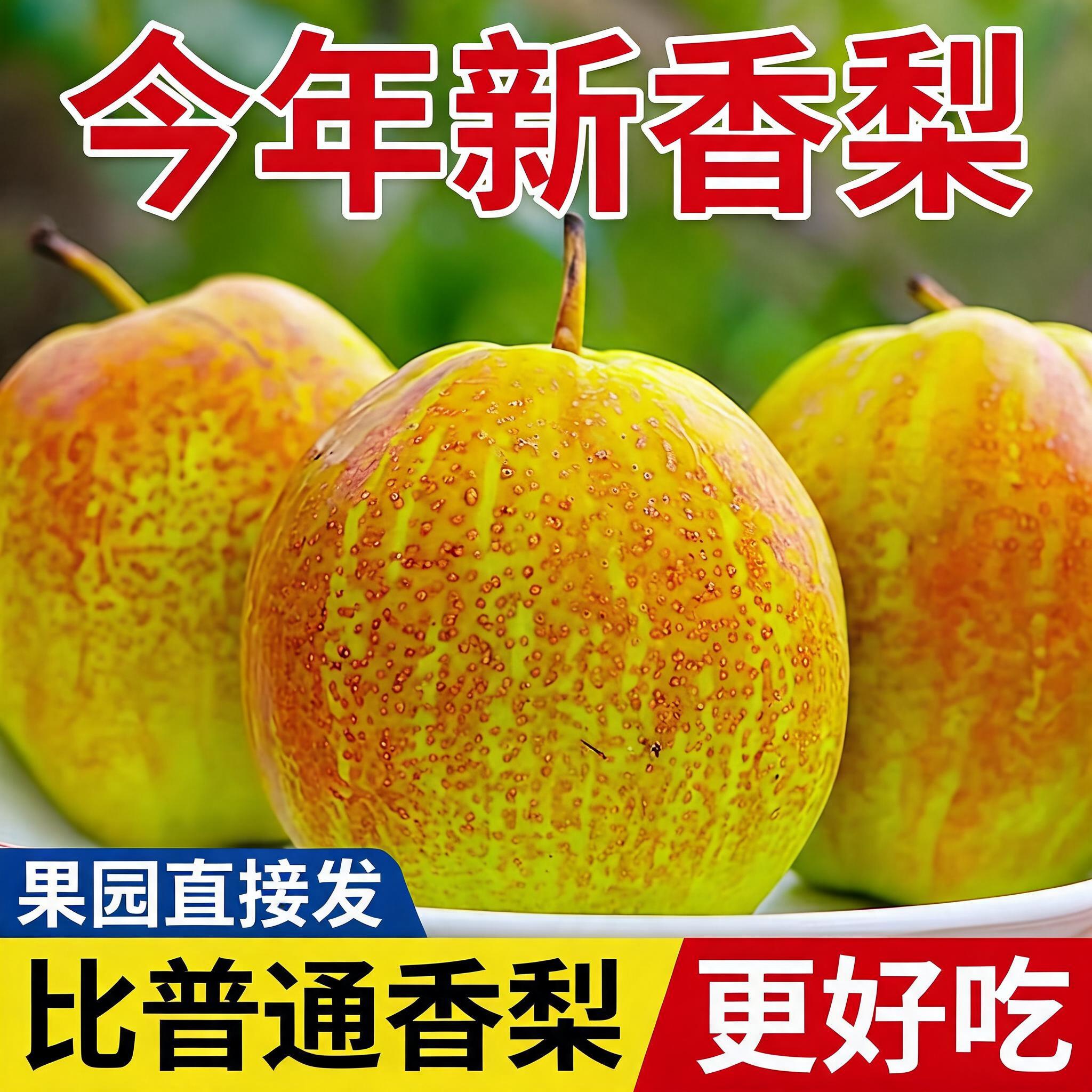 正宗脆甜香梨红香酥梨新鲜当季水果梨子薄皮应季酥梨批发整箱包邮