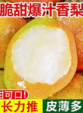 红香酥梨新疆梨子新鲜水果当季薄皮香梨青酥梨脆甜蜜雪梨整箱包邮