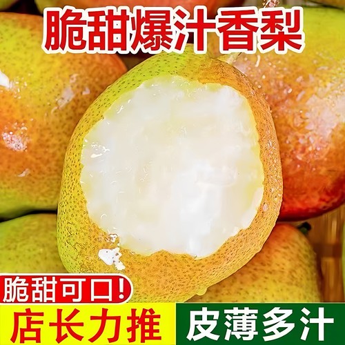 红香酥梨新疆梨子新鲜水果当季薄皮香梨青酥梨脆甜蜜雪梨整箱包邮
