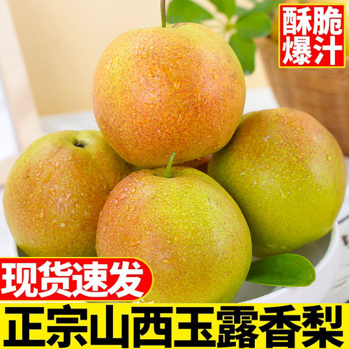 山西玉露香梨新鲜梨子脆甜薄皮香梨当季现摘水果红酥青梨整箱包邮