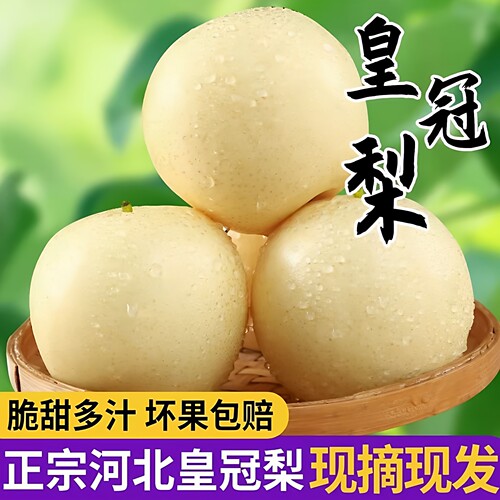 河北正宗赵县皇冠梨新鲜孕妇水果秋梨白梨子当季现摘整箱10斤包邮