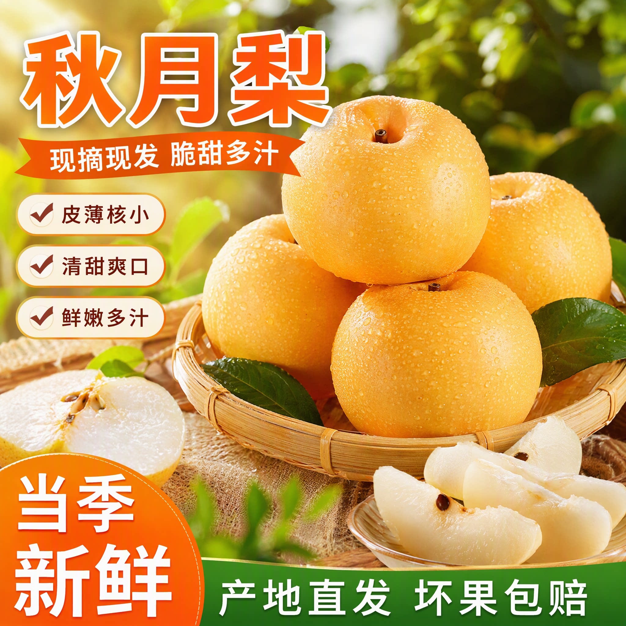 正宗山东秋月梨现摘现发水果新鲜当季脆甜冰糖雪梨子大果整箱包邮