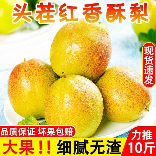 现摘现发红香酥梨十斤当季梨子新鲜包邮整箱香梨应季水果脆甜多汁