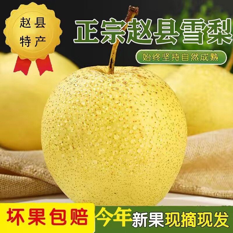 特级雪梨水果新鲜正宗整箱包邮