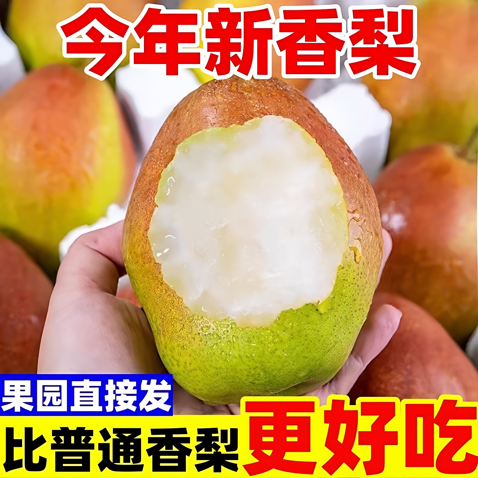 【现摘】红香酥梨10斤特级香梨新鲜应季水果脆甜皮薄雪梨整箱包邮