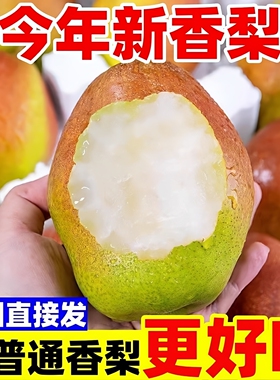 【现摘】红香酥梨10斤特级香梨新鲜应季水果脆甜皮薄雪梨整箱包邮