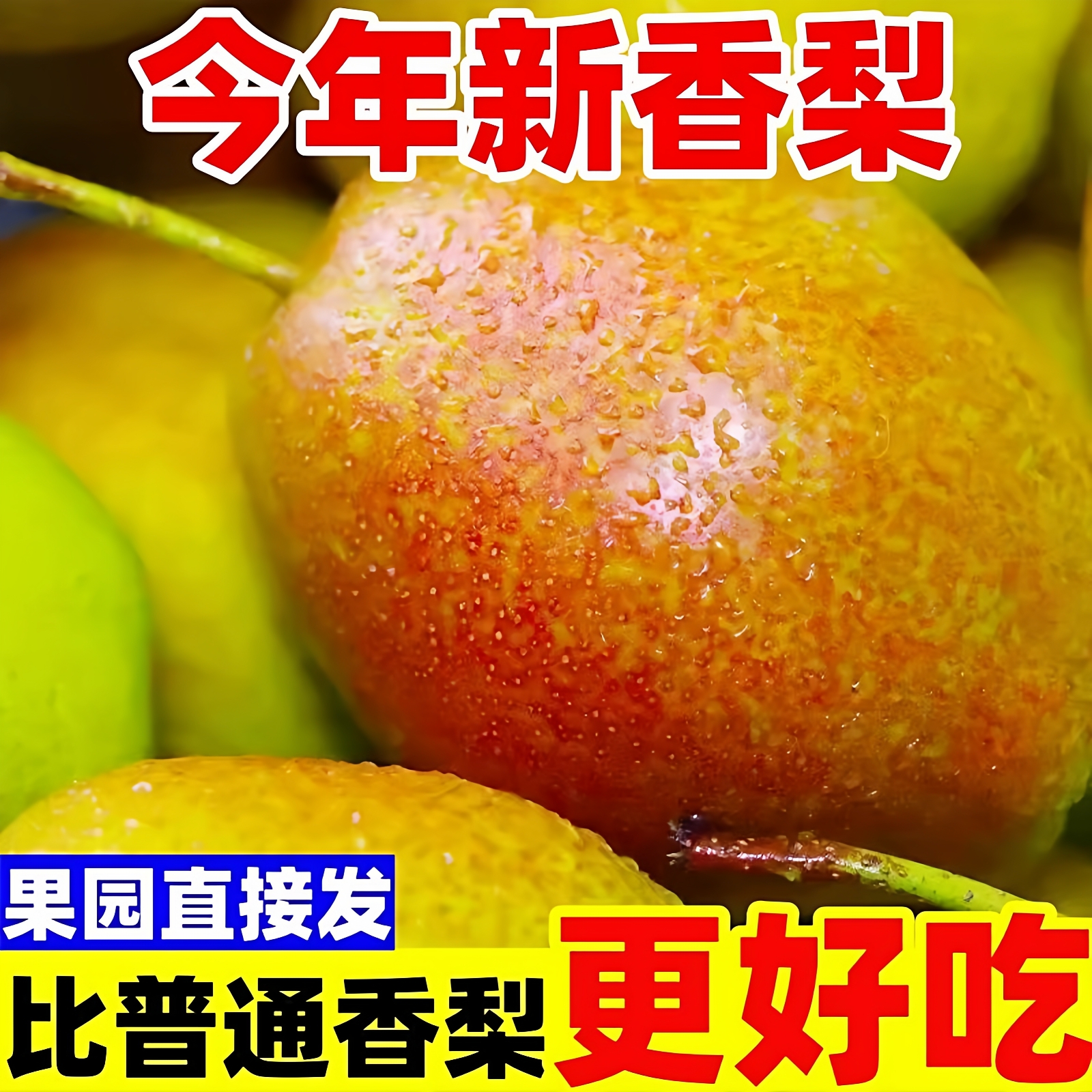 【特级脆甜】正宗红香酥梨新鲜脆甜水果梨子薄皮应季香梨批发整箱