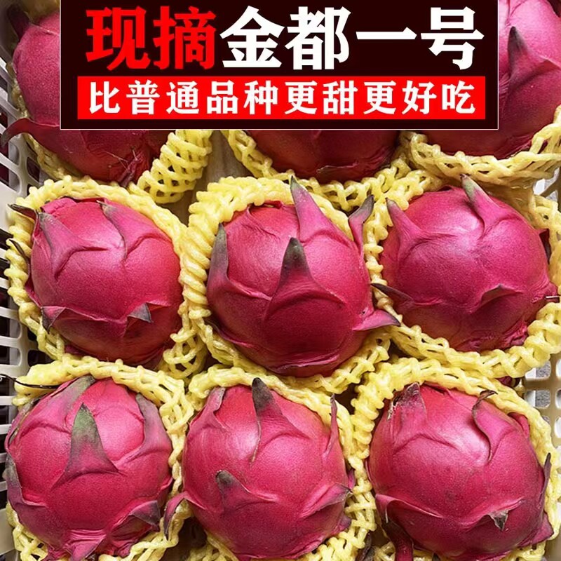 千禧颂红心火龙果金都一号