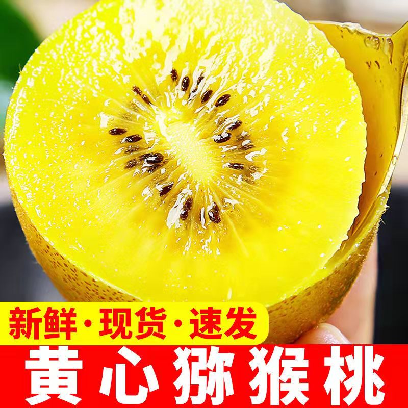 四川黄心猕猴桃新鲜奇异果