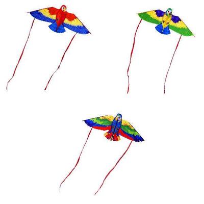 Parrot Kite with 50M String Beach Kite for Garden Beach