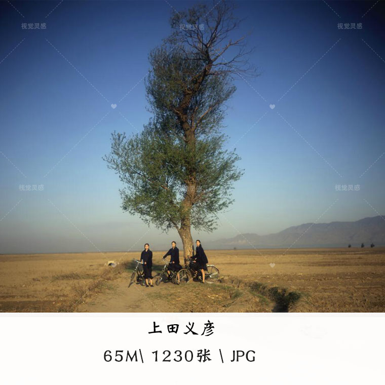 摄影集 上田义彦日系小清新写真摄影日本广告摄影大师作品